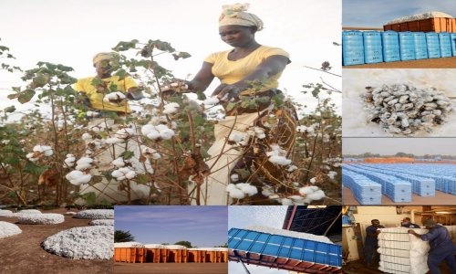 Journée Mondiale du Coton 2025